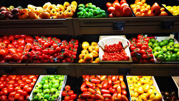 profusion d'offres de tomates au sein des rayons