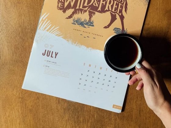 Retrouvez tous les événements du mois dans votre calendrier marronnier juillet 2025 !