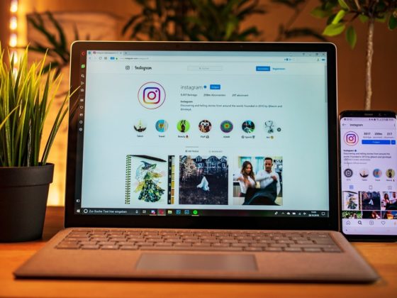 Aucune catégorie Applications pour feed Instagram : notre top 6 pour un feed au top