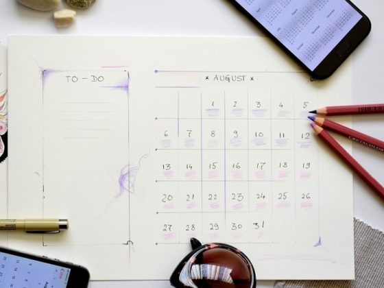 Découvrez tous les événements du mois avec ce calendrier marronnier août 2025 !