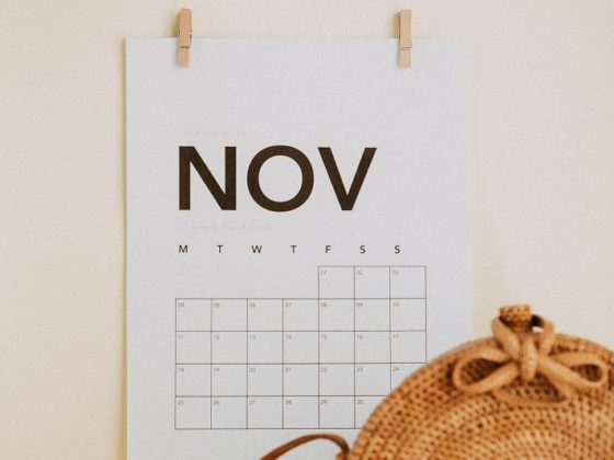 Retrouvez les événements incontournables de novembre grâce à votre calendrier marronnier novembre 2025 !